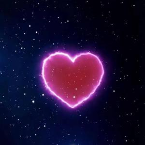 动物交配全过程马和驴高清版
