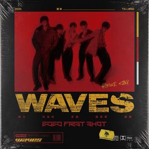 动物交配全过程马和驴高清版
