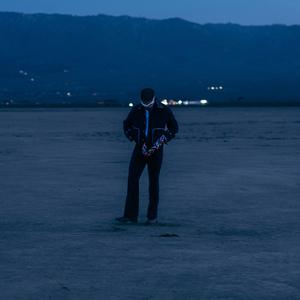 动物交配全过程马和驴高清版
