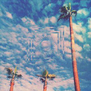 动物交配全过程马和驴高清版
