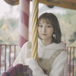 动物交配全过程马和驴高清版
