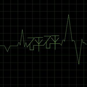 动物交配全过程马和驴高清版
