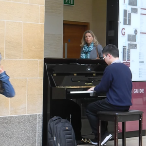 动物交配全过程马和驴高清版
